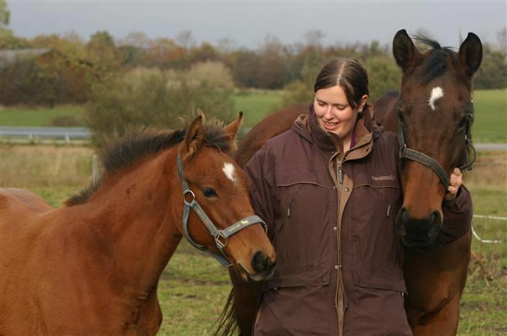 Dansk Varmblod Fiona - NYT: Fantomet, Fiona og mig :) billede 20