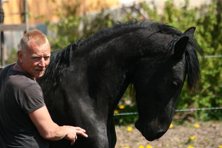 Frieser Nardia - Fotograf: Anne Cecilie Gormsen billede 10