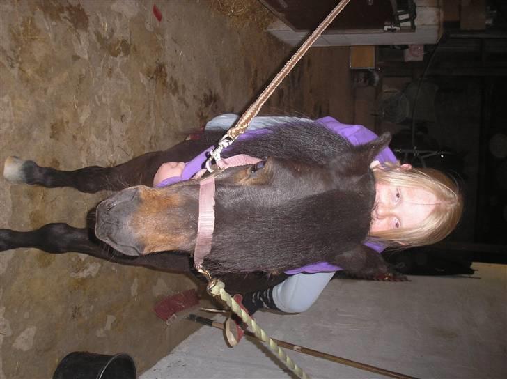 Anden særlig race FREDERIK billede 5