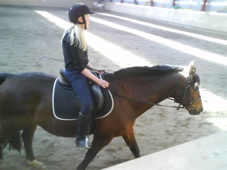 Hannoveraner Fakir gl. part :'( - migh og fakir billede 2