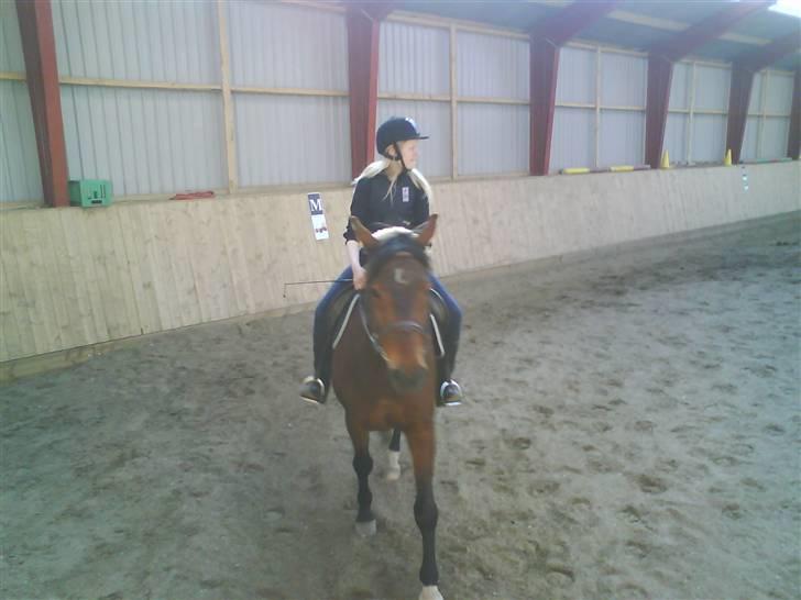 Hannoveraner Fakir gl. part :'( - fakir<´3 billede 4