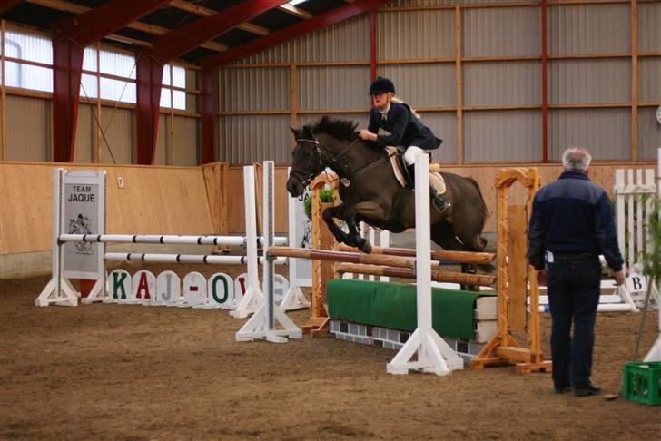 Irsk Sportspony Sirocco Stacey - kaytrinFoto la aags billede 7