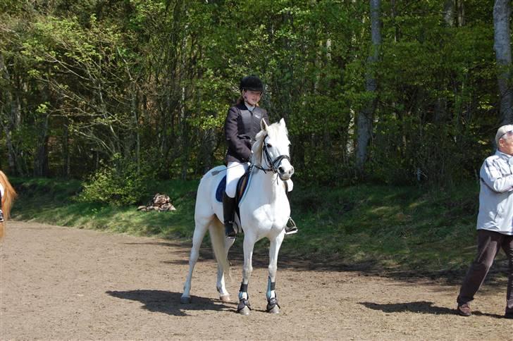 Anden særlig race cirkeline - har redet  billede 2