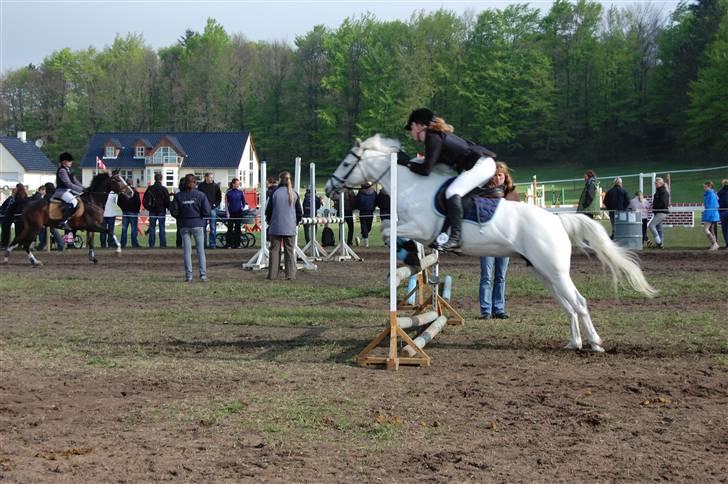 Anden særlig race cirkeline - har redet  billede 3