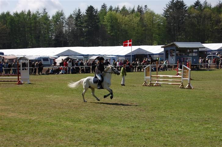 Anden særlig race cirkeline - har redet  billede 4