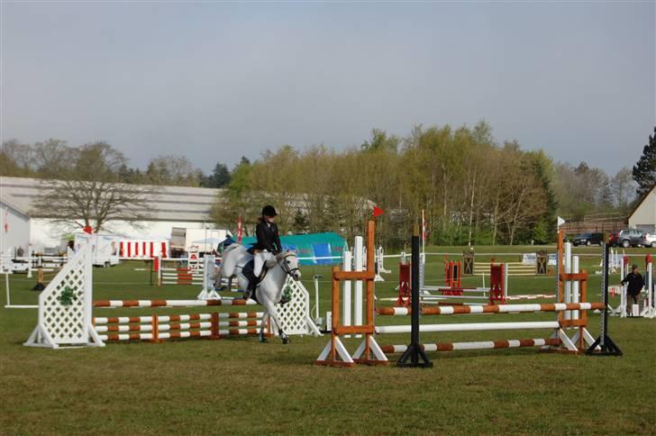 Anden særlig race cirkeline - har redet  billede 5