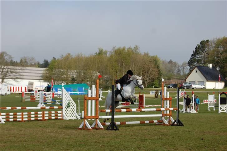 Anden særlig race cirkeline - har redet  billede 6