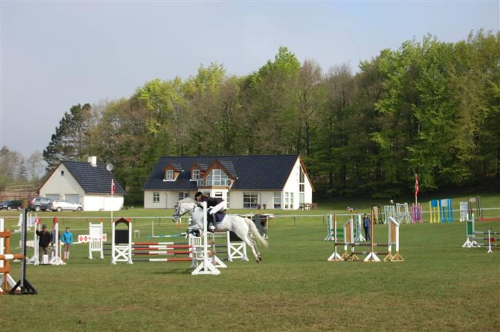 Anden særlig race cirkeline - har redet  billede 7