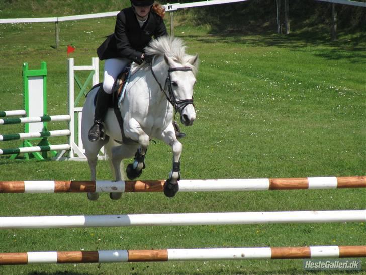 Anden særlig race cirkeline - har redet  billede 8