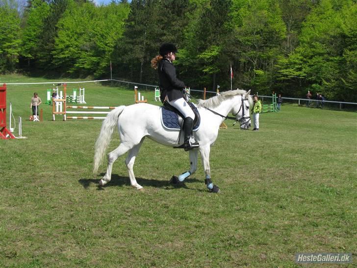 Anden særlig race cirkeline - har redet  billede 9