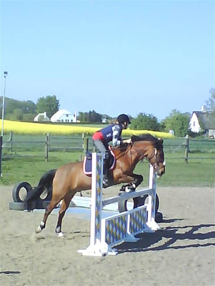 DSP Snit A-pony - Springtræning hjemme 14/5 2008 MIN 13-ÅRS FØDSELSDAG!!! ps springet er hjemmelavet billede 17