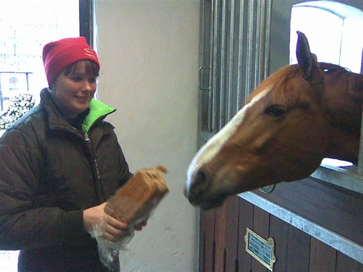 DSP Oscar - Oscar er rigtig glad for at spise rugbrød billede 2