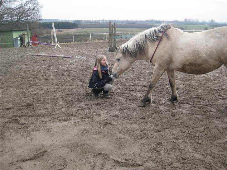 Anden særlig race Freja <3 - Fordi det kaldes tillid! billede 15