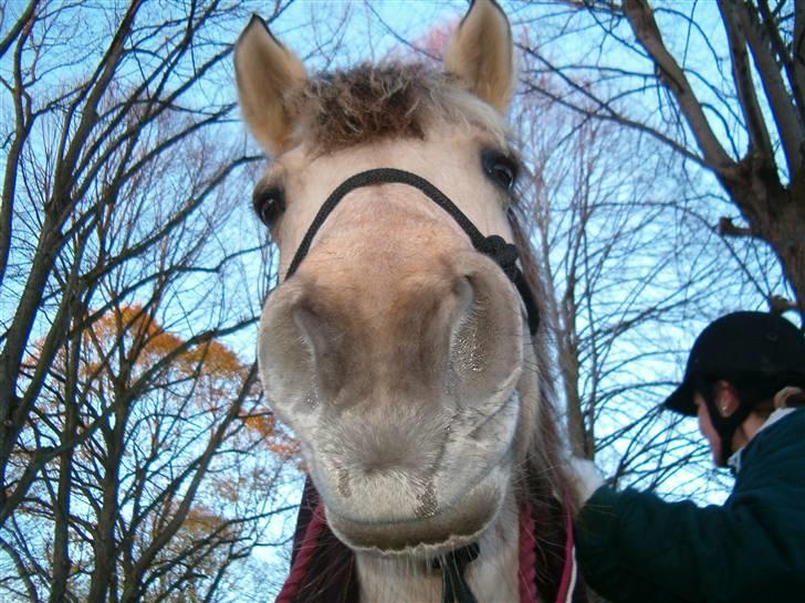 Anden særlig race Freja <3 - Fordi du er det bedste ! billede 16