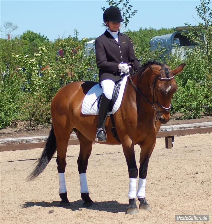 Oldenborg Beate  - Stævne på Vasehus d. 30. maj. Foto: Tanja Rusovic  billede 13
