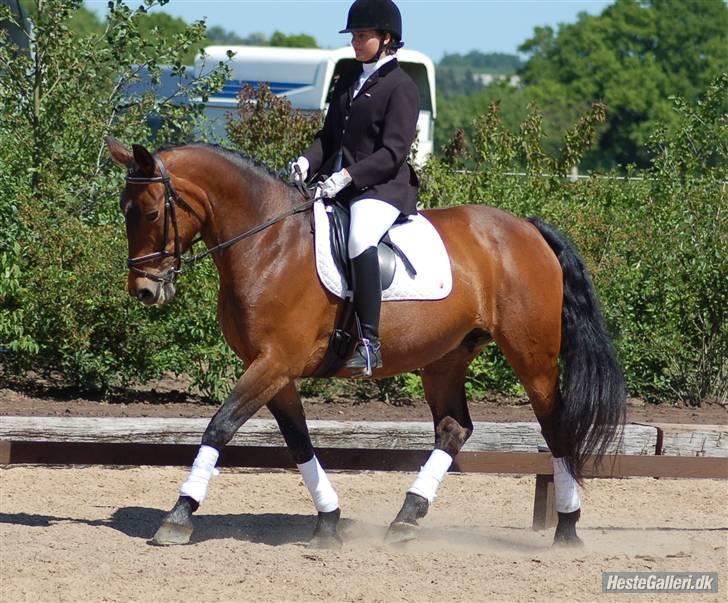 Oldenborg Beate  - Stævne på Vasehus d. 30 maj. Foto: Tanja Rusovic  billede 14