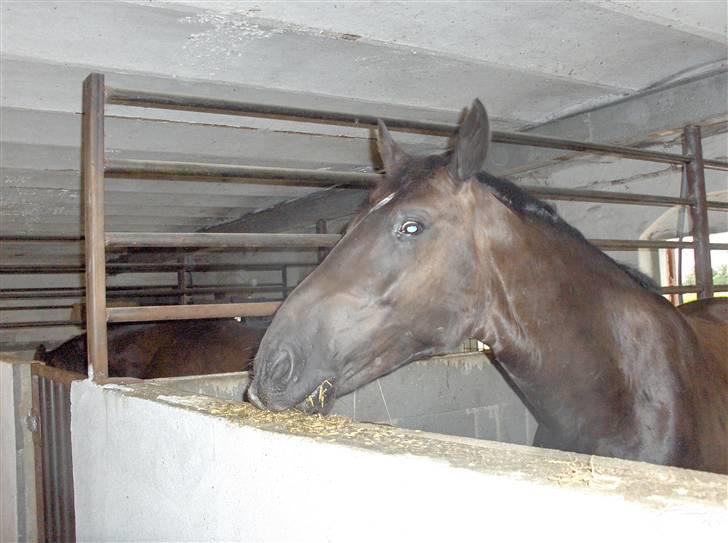 Oldenborg Dialekt Alstrup - Leger lidt med maden det dejligt.. billede 13