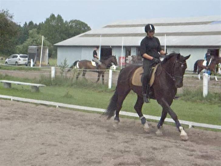 Oldenborg Dialekt Alstrup - lidt træning .. det skønt .. billede 14