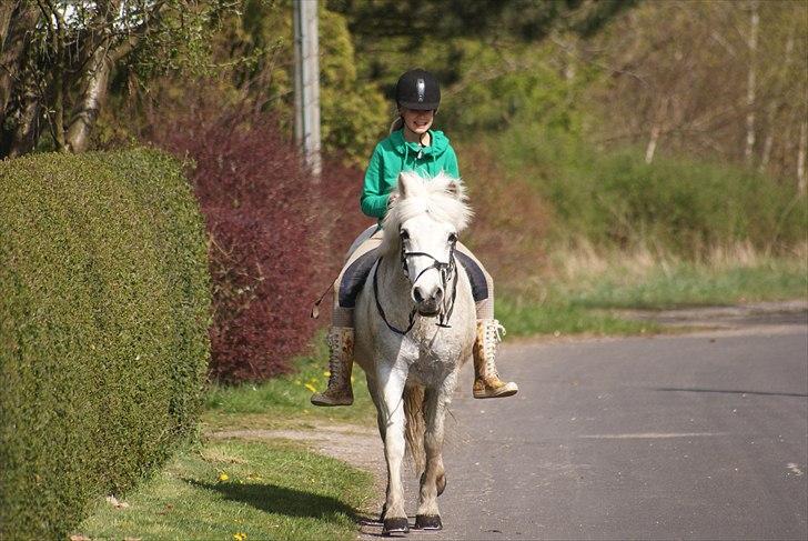 Anden særlig race Belinda  †  R.I.P  † - Belinda og jeg ude på min vej :) måske skal vi lige har rettet det næsebånd? :D billede 15