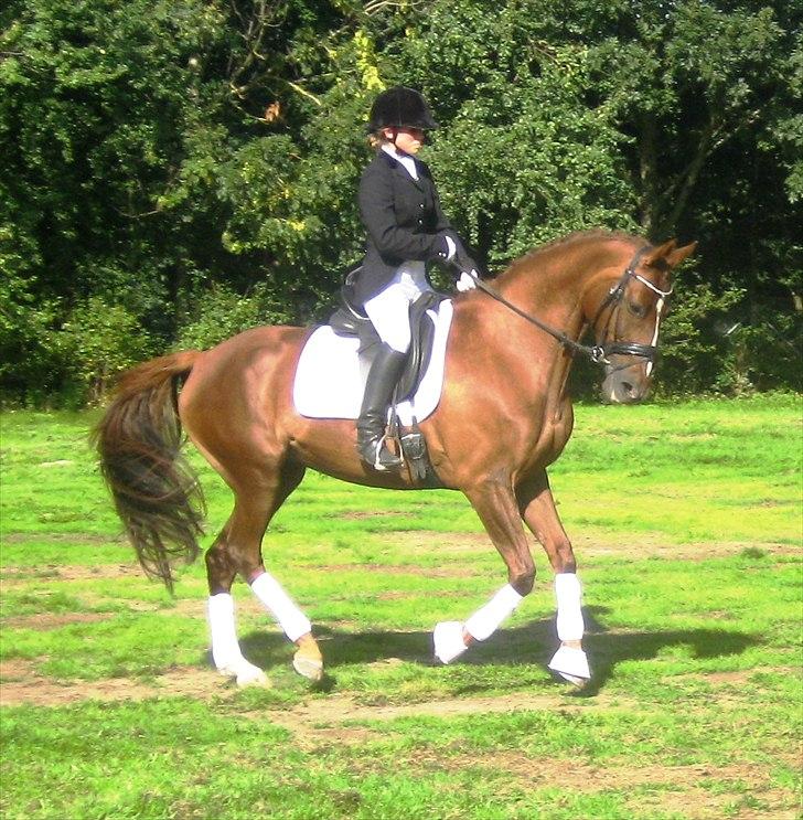 Anden særlig race Daisy - Daisy og Heidi den 5. Sep. 2010 billede 9