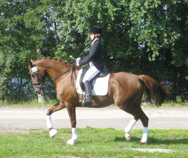 Anden særlig race Daisy - Daisy og Heidi den 5. Sep. 2010 billede 10