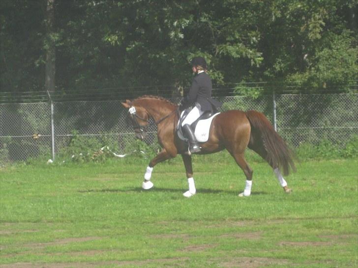 Anden særlig race Daisy - Daisy og Heidi den 5. Sep. 2010 billede 11