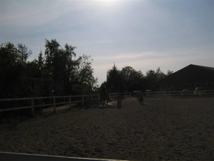 Hannoveraner Fakir gl. part :'( - springning på fakir igen... billede 8