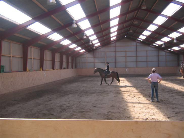 Hannoveraner Fakir gl. part :'( - i ridehuset... billede 10