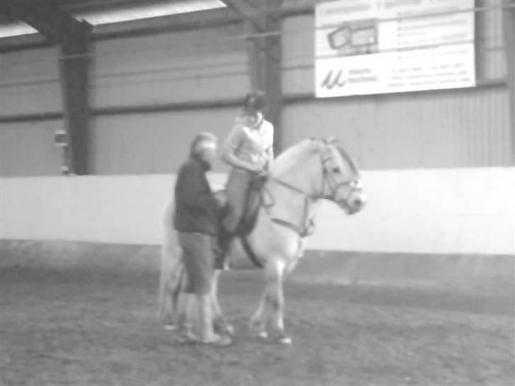 Fjordhest Snip - Første gang på rideskolen det er min ridelærer der også er på billedet. billede 15