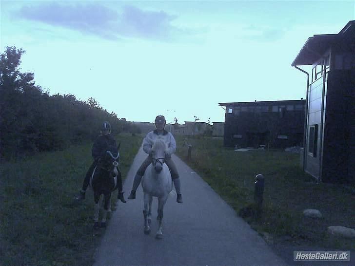 Anden særlig race Cloe :'( Min engel! R.I.P - Himlens dejligste engle! Savner jer to mere end noget andet. billede 10