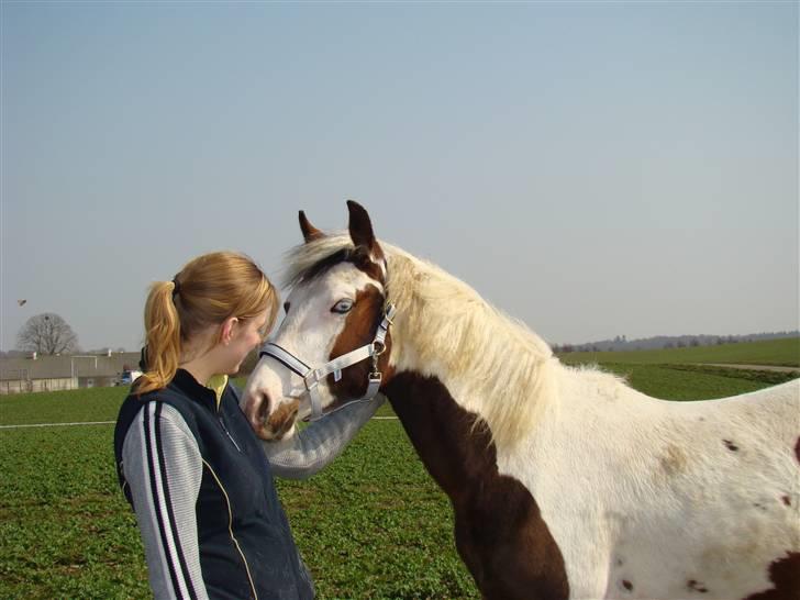 Pinto Sambuca billede 17