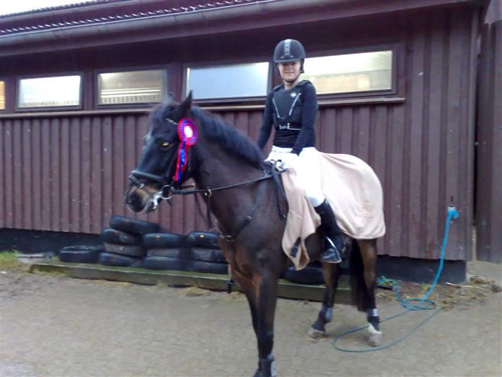 Connemara Illias R.I.P :'( billede 6