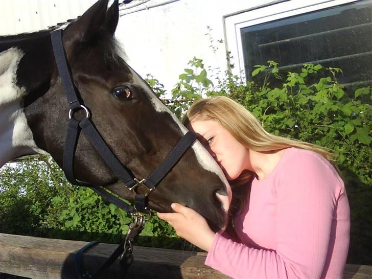 Anden særlig race Europy / Unik (PASSER) - KYS! <3 heheh elsker dig hest! billede 4