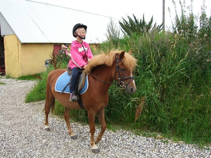 Anden særlig race Mulan - Simone og Mulan på vej i hallen billede 1