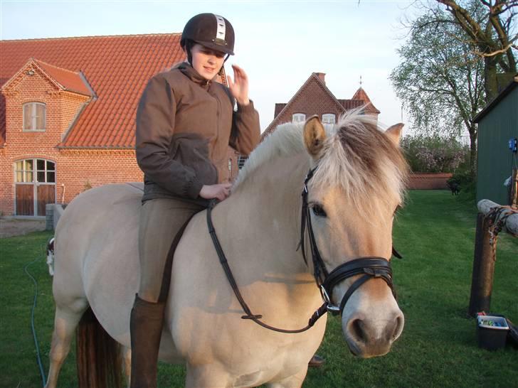 Fjordhest FREJA R.I.P. - 14. Frejsen og jeg på vej ud på tur:) Sommeren 2009 billede 14