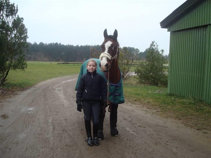 DSP Brown Bodean - solgt - Se os vi er glade for hinnanden... <3 billede 1