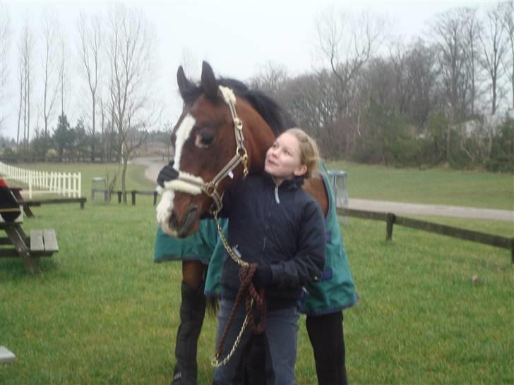 DSP Brown Bodean - solgt - Et kys til min smukke Bodean.. billede 2