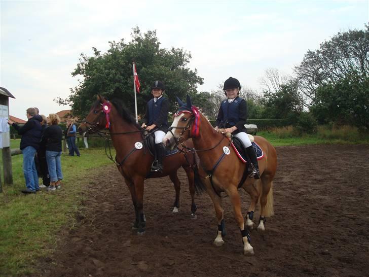 Hollandsk Sportspony Blondie - Her er vi til vores første C-stævne,,, :D billede 4