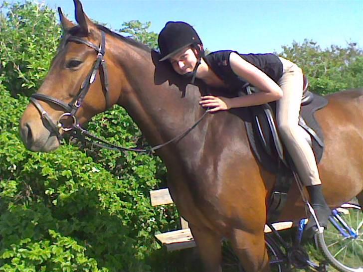 Dansk Varmblod Adelaid / Landi - Mig og Landi. :D billede 14