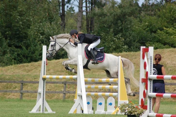 Anden særlig race Sun City - Solgt - Mig og City til landsstævnet i OHR  billede 16