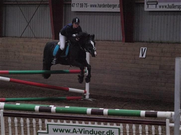 Anden særlig race Cisco <3 Tidl. Part :´( Miss You - 15# Spring stævne 15 marts;P Han sprang ALT <3 (: Foto : Linea billede 15