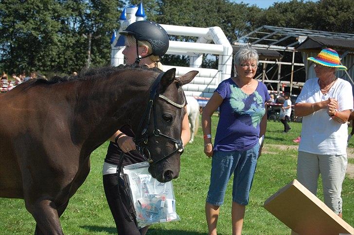 Anden særlig race Beauty - balslev dyrskue billede 6
