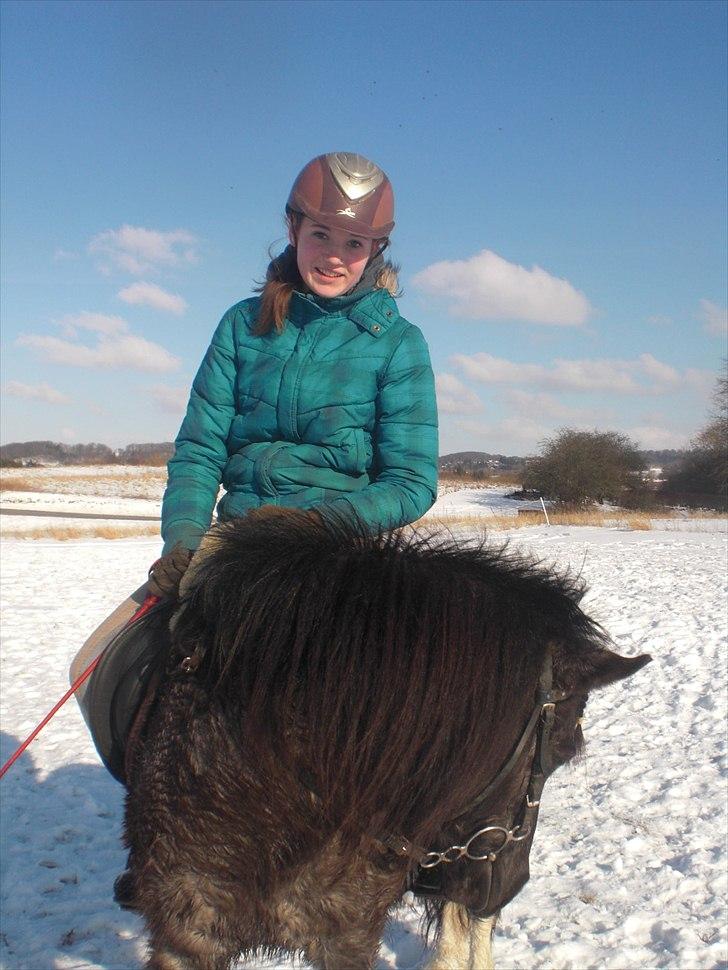 Anden særlig race Speedy  - Hannah og Speedy efter springtræning. En meget træt speedy. billede 7