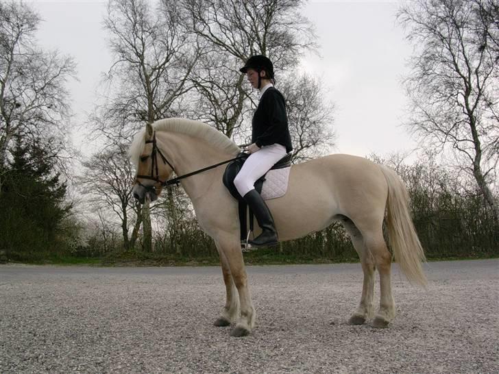 Fjordhest Glittra Gudenå - Glittra og jeg til aktivitetsdag på Birken 2004 billede 5