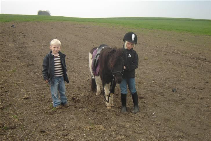 Anden særlig race Pinnochio   (Solgt) billede 11