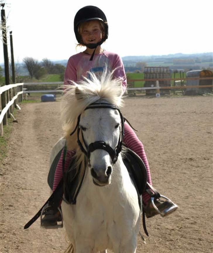 Welsh Pony (sec B) Pingo>R.I.P<savner dig † - Hygge ridning på Pingo    foto:tror det er karsten eller bente billede 1