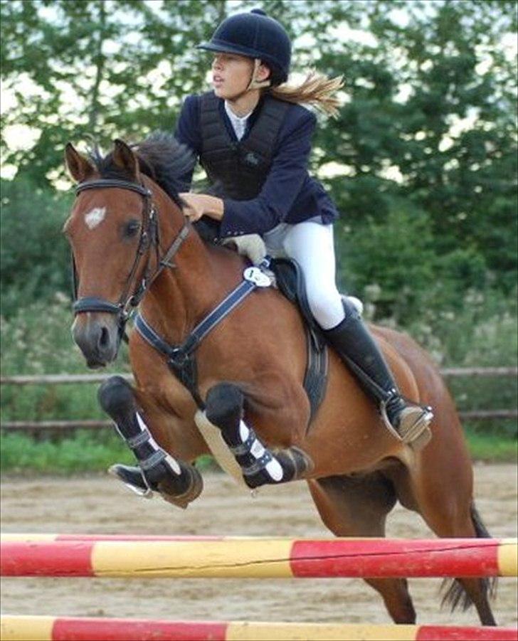 Anden særlig race Lautons Flight B-Pony billede 3