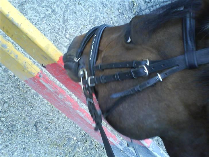 DSP Daisy Hesse<3 Solgt :/ :( - den lygter godt tysker bom <3<3 billede 13