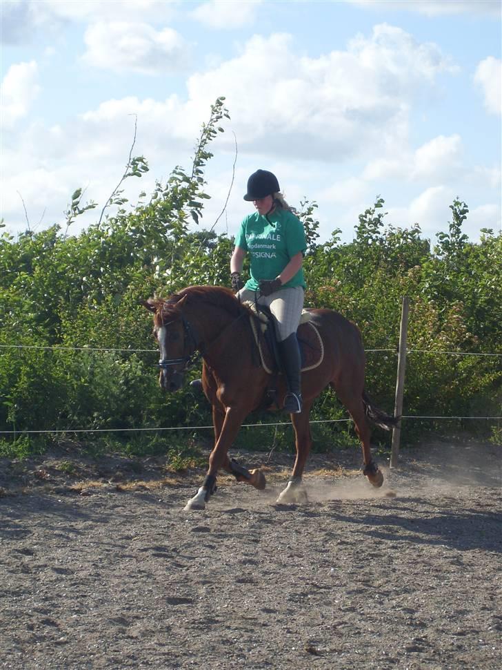 Anden særlig race Felex - træning (: Fotograf : Rikke  billede 2