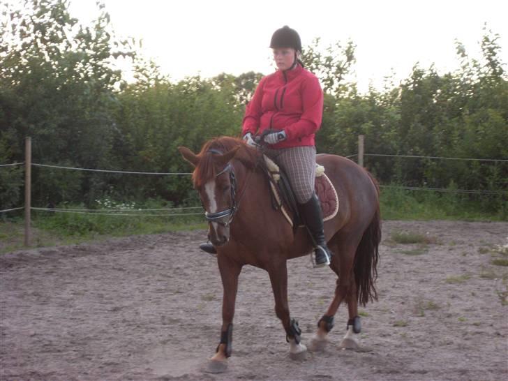 Anden særlig race Felex - træning d. 17 August (:  billede 3